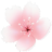 https://kyju.org/favicon.ico